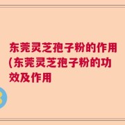 东莞灵芝孢子粉的作用(东莞灵芝孢子粉的功效及作用