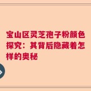 宝山区灵芝孢子粉颜色探究：其背后隐藏着怎样的奥秘
