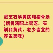 灵芝石斛黄芪炖猪骨汤(猪骨汤配上灵芝、石斛和黄芪，老少皆宜的养生美味)