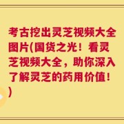 考古挖出灵芝视频大全图片(国货之光！看灵芝视频大全，助你深入了解灵芝的药用价值！)