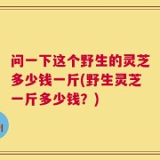 问一下这个野生的灵芝多少钱一斤(野生灵芝一斤多少钱？)