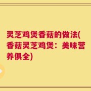 灵芝鸡煲香菇的做法(香菇灵芝鸡煲：美味营养俱全)