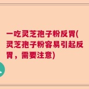 一吃灵芝孢子粉反胃(灵芝孢子粉容易引起反胃，需要注意)