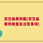 灵芝桑黄剂量(灵芝桑黄剂用量及注意事项)