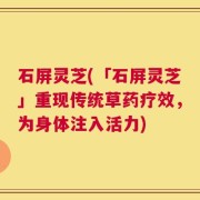 石屏灵芝(「石屏灵芝」重现传统草药疗效，为身体注入活力)