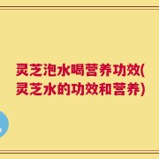 灵芝泡水喝营养功效(灵芝水的功效和营养)