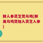 鲜人参灵芝煲乌鸡(鲜美乌鸡煲加入灵芝人参)