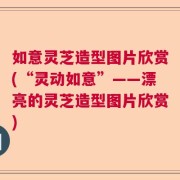 如意灵芝造型图片欣赏(“灵动如意”——漂亮的灵芝造型图片欣赏)