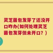 灵芝菌包发芽了还没开口咋办(如何处理灵芝菌包发芽但未开口？)