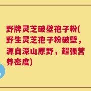 野牌灵芝破壁孢子粉(野生灵芝孢子粉破壁，源自深山原野，超强营养密度)