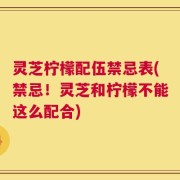 灵芝柠檬配伍禁忌表(禁忌！灵芝和柠檬不能这么配合)