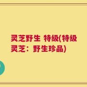 灵芝野生 特级(特级灵芝：野生珍品)