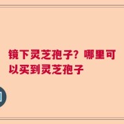 镜下灵芝孢子？哪里可以买到灵芝孢子