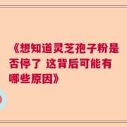 《想知道灵芝孢子粉是否停了 这背后可能有哪些原因》