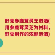野党参鹿茸灵芝泡酒(用参鹿茸灵芝为材料，野党制作的浓郁泡酒)