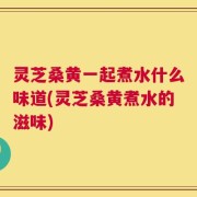 灵芝桑黄一起煮水什么味道(灵芝桑黄煮水的滋味)