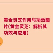 黄金灵芝作用与功效图片(黄金灵芝:解析其功效与应用)