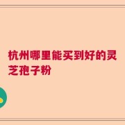 杭州哪里能买到好的灵芝孢子粉