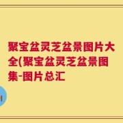 聚宝盆灵芝盆景图片大全(聚宝盆灵芝盆景图集-图片总汇