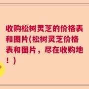 收购松树灵芝的价格表和图片(松树灵芝价格表和图片，尽在收购地！)