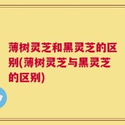 薄树灵芝和黑灵芝的区别(薄树灵芝与黑灵芝的区别)