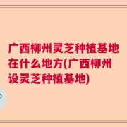 广西柳州灵芝种植基地在什么地方(广西柳州设灵芝种植基地)