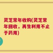 灵芝常年收购(灵芝常年回收，再生利用不止于药用)