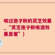 喷过孢子粉的灵芝效果_“灵芝孢子粉喷洒效果显著”)
