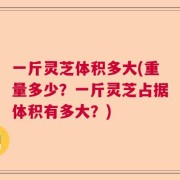一斤灵芝体积多大(重量多少？一斤灵芝占据体积有多大？)