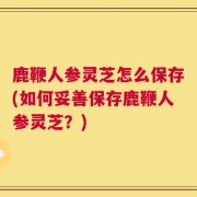 鹿鞭人参灵芝怎么保存(如何妥善保存鹿鞭人参灵芝？)
