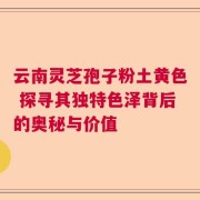 云南灵芝孢子粉土黄色 探寻其独特色泽背后的奥秘与价值