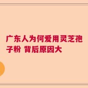广东人为何爱用灵芝孢子粉 背后原因大