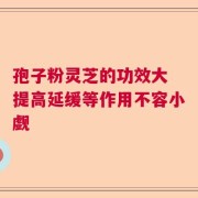 孢子粉灵芝的功效大 提高延缓等作用不容小觑