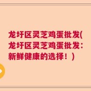 龙圩区灵芝鸡蛋批发(龙圩区灵芝鸡蛋批发：新鲜健康的选择！)
