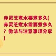 赤灵芝煮水要煮多久(赤灵芝煮水需要煮多久？做法与注意事项分享)