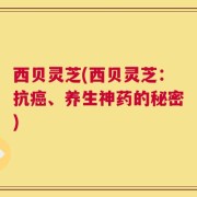 西贝灵芝(西贝灵芝：抗癌、养生神药的秘密)