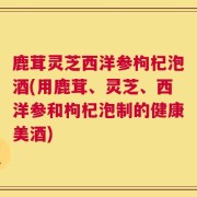 鹿茸灵芝西洋参枸杞泡酒(用鹿茸、灵芝、西洋参和枸杞泡制的健康美酒)