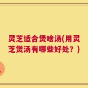 灵芝适合煲啥汤(用灵芝煲汤有哪些好处？)