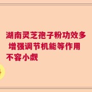 湖南灵芝孢子粉功效多 增强调节机能等作用不容小觑