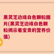 黑灵芝边缘白色颗粒图片(黑灵芝边缘白色颗粒揭示着宝贵的营养价值)