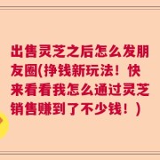 出售灵芝之后怎么发朋友圈(挣钱新玩法！快来看看我怎么通过灵芝销售赚到了不少钱！)