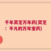 千年灵芝万年药(灵芝：不凡的万年宝药)