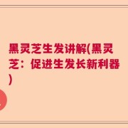 黑灵芝生发讲解(黑灵芝:促进生发长新利器)