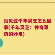 没见过千年灵芝怎么回事(千年灵芝：神奇草药的妙用)