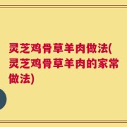 灵芝鸡骨草羊肉做法(灵芝鸡骨草羊肉的家常做法)