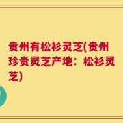 贵州有松衫灵芝(贵州珍贵灵芝产地：松衫灵芝)