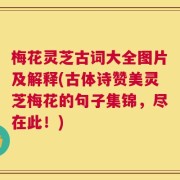 梅花灵芝古词大全图片及解释(古体诗赞美灵芝梅花的句子集锦，尽在此！)