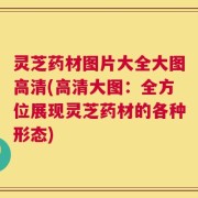 灵芝药材图片大全大图高清(高清大图：全方位展现灵芝药材的各种形态)