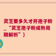 灵芝要多久才开孢子粉_“灵芝孢子粉成熟周期解析”)