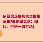 伊朗灵芝图片大全图集及价格(伊朗灵芝：图片、价格一网打尽)